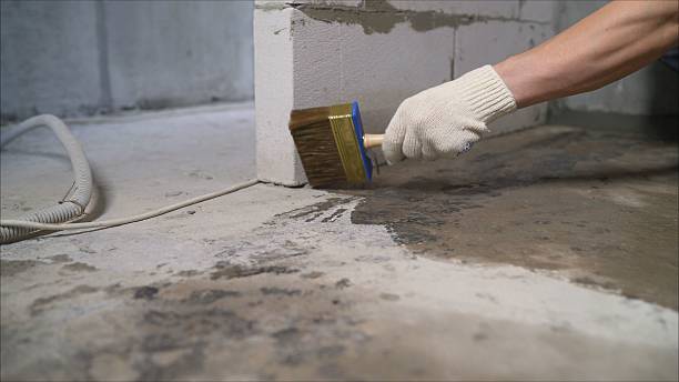 SJ Waterproofing Pros Waterproofing coverage map for Blaine, WA and surrounding area